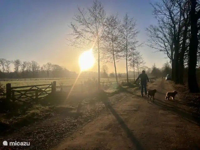 Veel wandelmogelijkheden, direct vanuit het vakantiehuisje.